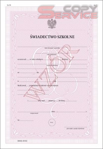 MEiN-I/19/2 - formularz świadectwa szkolnego promocyjnego dla uczniów technikum