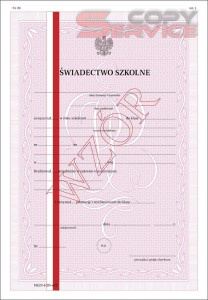 MEiN-I/20-w/2 - formularz świadectwa promocyjnego szkolnego dla uczniów technikum