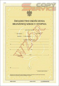 MEiN-I/25/2 - formularz świadectwa szkolnego ukończenia branżowej szkoły I stopnia, świadectwo z zabezpieczeniami