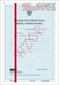 MEiN-I/9-w/1 - formularz świadectwa szkolnego dla uczniów szkoły podstawowej dla dzieci i młodzieży z wyróżnieniem